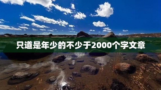 只道是年少的不少于2000个字文章