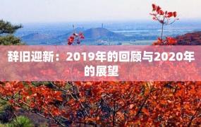 辞旧迎新：2019年的回顾与2020年的展望