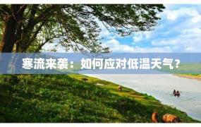 寒流来袭：如何应对低温天气？