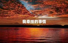 我牵挂的事情