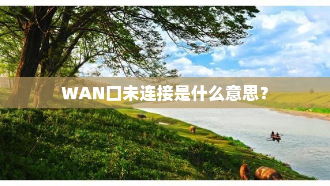 WAN口未连接是什么意思？