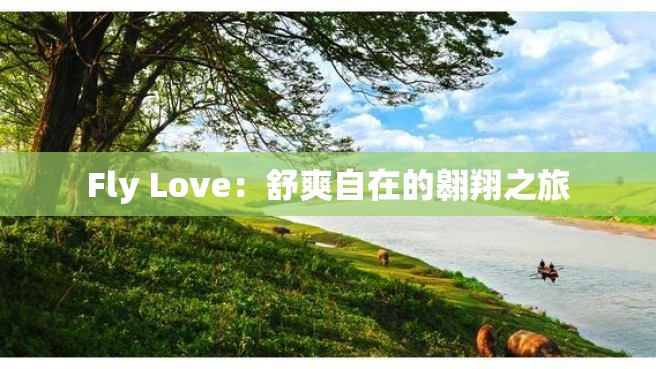 Fly Love：舒爽自在的翱翔之旅