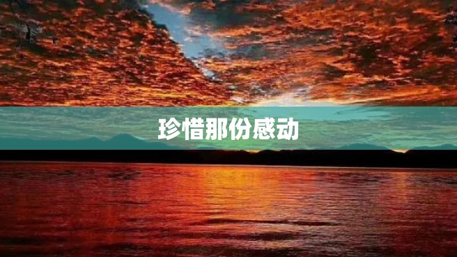 珍惜那份感动