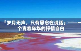 「岁月无声，只有思念在说话」——一个青春年华的抒情自白