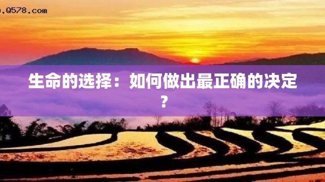 生命的选择：如何做出最正确的决定？