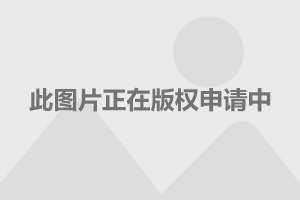 新款福克斯用了什么悬架