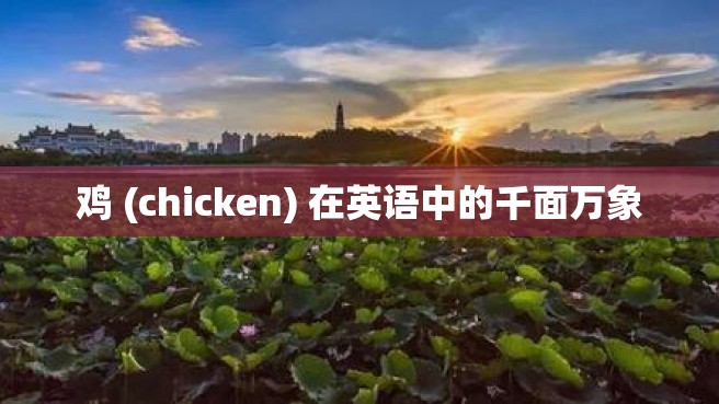 鸡 (chicken) 在英语中的千面万象