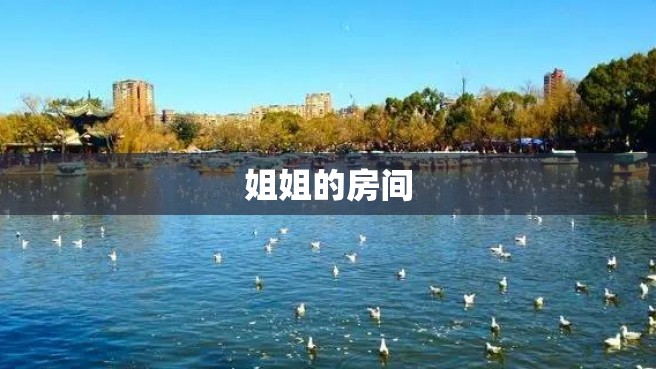 姐姐的房间