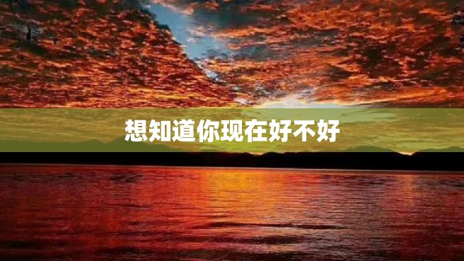 想知道你现在好不好