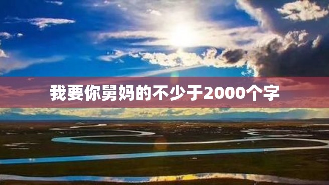 我要你舅妈的不少于2000个字