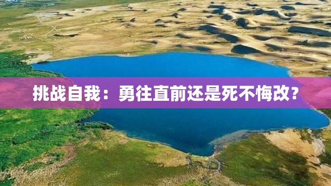 挑战自我：勇往直前还是死不悔改？