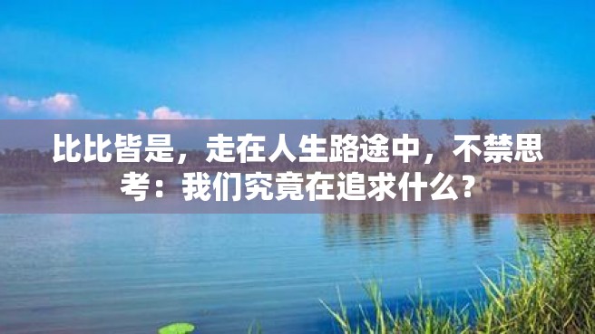 比比皆是，走在人生路途中，不禁思考：我们究竟在追求什么？