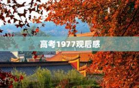 高考1977观后感