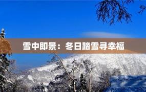 雪中即景：冬日踏雪寻幸福