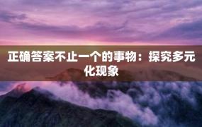 正确答案不止一个的事物：探究多元化现象