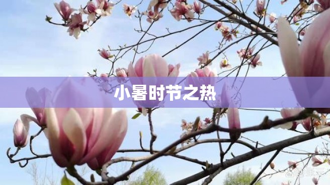 小暑时节之热