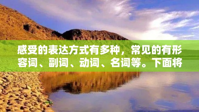 感受的表达方式有多种，常见的有形容词、副词、动词、名词等。下面将分别探讨这些方式。