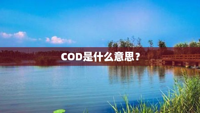 COD是什么意思？