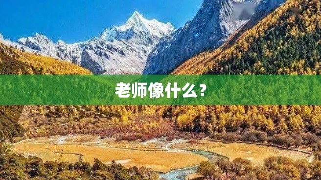 老师像什么？