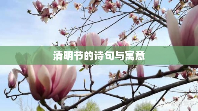 清明节的诗句与寓意