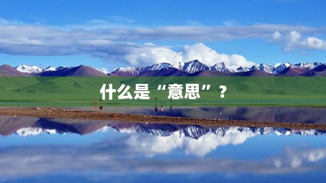 什么是“意思”？