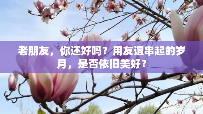 老朋友，你还好吗？用友谊串起的岁月，是否依旧美好？