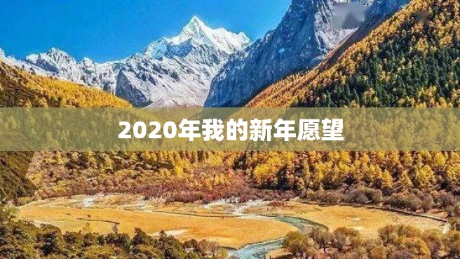 2020年我的新年愿望