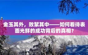 金玉其外，败絮其中——如何看待表面光鲜的成功背后的真相？