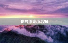 我的漂亮小后妈