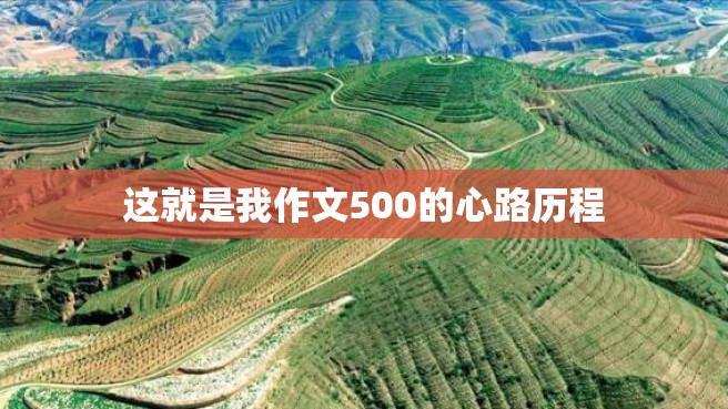 这就是我作文500的心路历程