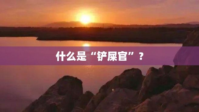 什么是“铲屎官”？