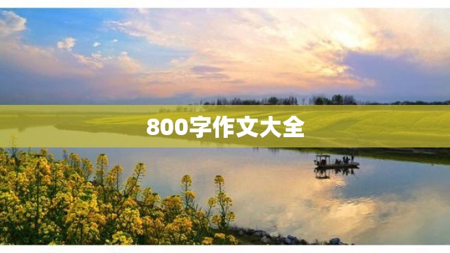 800字作文大全