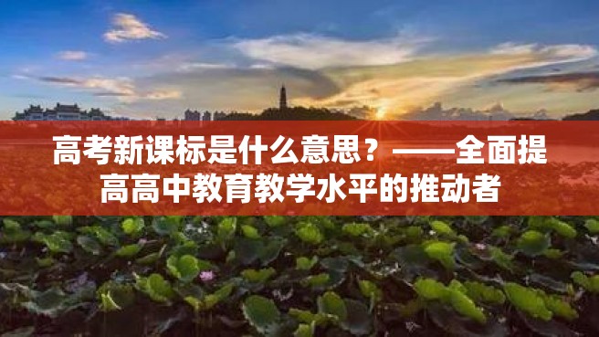 高考新课标是什么意思？——全面提高高中教育教学水平的推动者