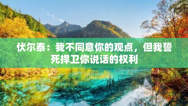 伏尔泰：我不同意你的观点，但我誓死捍卫你说话的权利