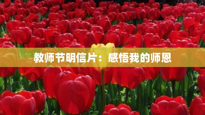 教师节明信片：感悟我的师恩