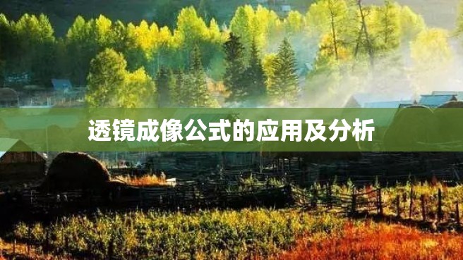 透镜成像公式的应用及分析