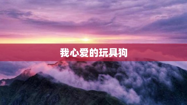 我心爱的玩具狗