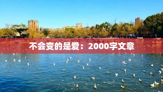 不会变的是爱：2000字文章