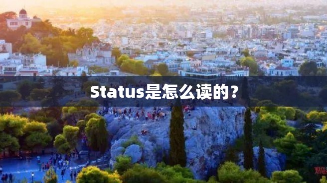 Status是怎么读的？