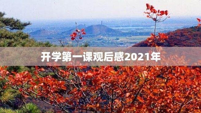 开学第一课观后感2021年