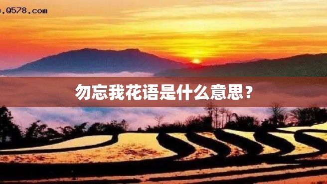 勿忘我花语是什么意思？