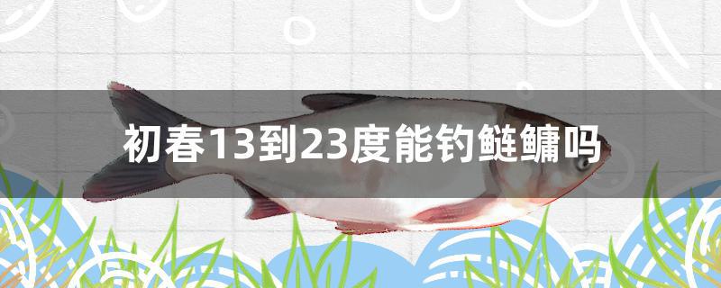 10度左右能不能钓鲢鳙(气温15度可以钓鲢鳙吗)