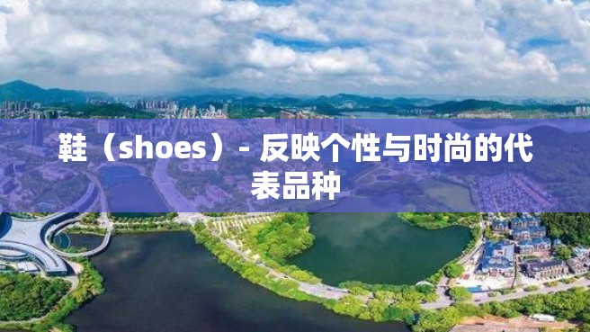 鞋（shoes）- 反映个性与时尚的代表品种