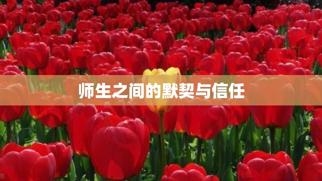 师生之间的默契与信任