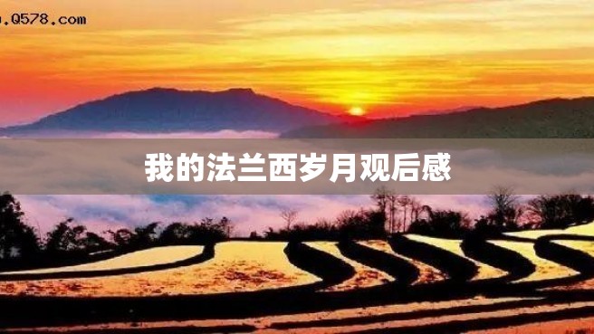 我的法兰西岁月观后感