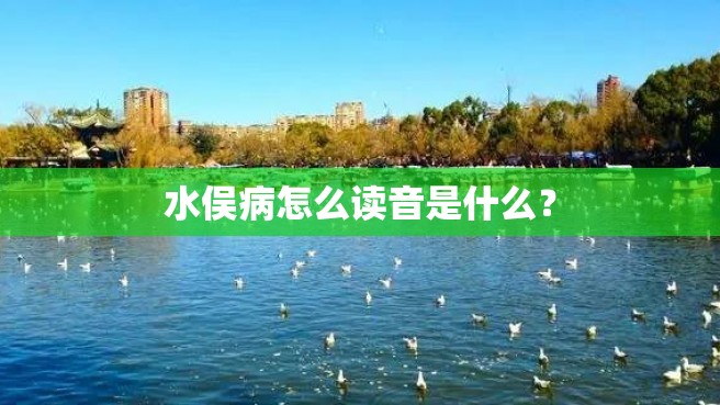 水俣病怎么读音是什么？