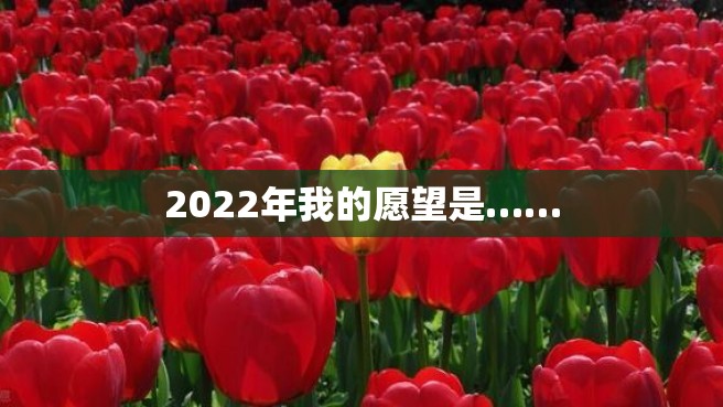 2022年我的愿望是……