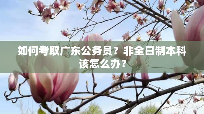 如何考取广东公务员？非全日制本科该怎么办？