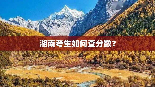 湖南考生如何查分数？