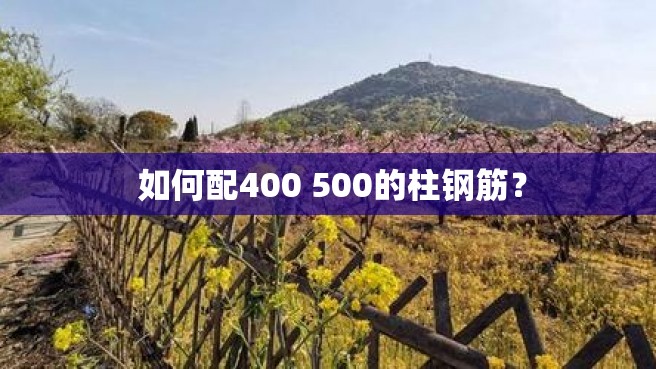  如何配400 500的柱钢筋？